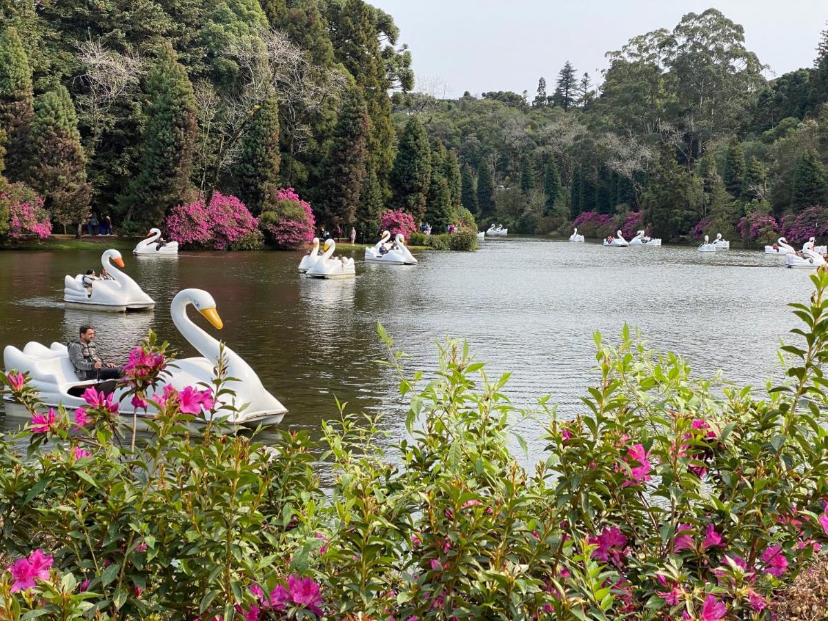 2 Suite, 1 Dormitorio Em Meio A Mata Araucaria A 1,5 Km Centro, Altos De Gramado Kültér fotó