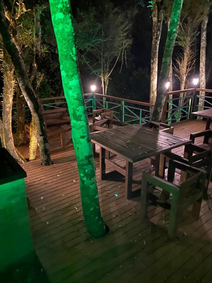 2 Suite, 1 Dormitorio Em Meio A Mata Araucaria A 1,5 Km Centro, Altos De Gramado Kültér fotó