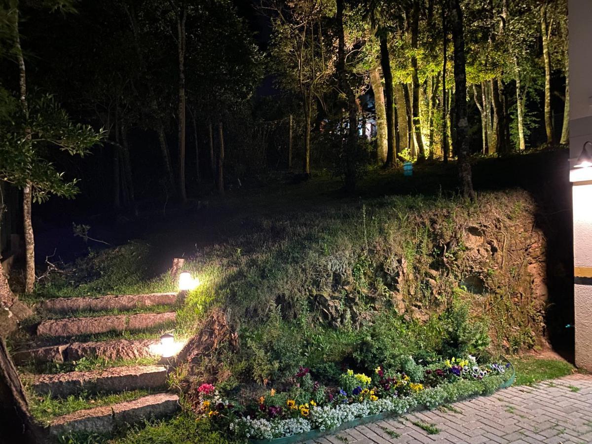 2 Suite, 1 Dormitorio Em Meio A Mata Araucaria A 1,5 Km Centro, Altos De Gramado Kültér fotó